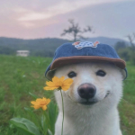 rplHunter