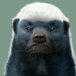 Ratel`