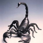 skorpion85