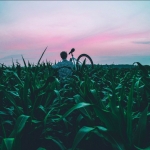 АртёмСалеев