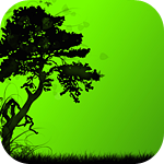 Ставлю_Хату