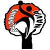 logo Нава