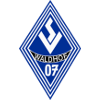 logo Вальдхоф Мангейм