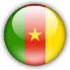 Камерун удары по воротам