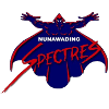 Nunawading Spectres