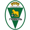 logo Гомель