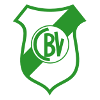 logo Белла Виста