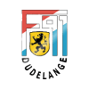 logo Дюделанж