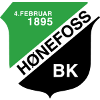 logo Хёнефосс