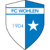logo Волен