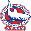 logo Инсбрук