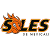 logo Солес Мехикали