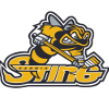 logo Сарния Стинг