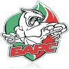 HC Bars Kazan