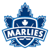logo Торонто Марлис