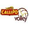 logo Вибо-Валентия