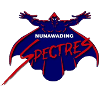 Логотип Nunawading Spectres
