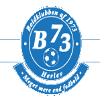 Б 1973 Херлев