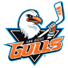 Логотип San Diego Gulls