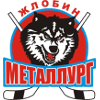 Логотип Металлург Жлобин