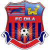 Логотип Dila Gori