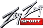 Логотип ZigZag Sport